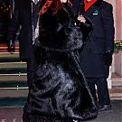 Filename=066.jpg
Filesize=3237KiB
Dimensions=2334x3500
Date added=Jan 27, 2024 066.jpg