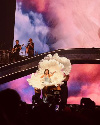 © instagram.com/gregxcelsior/
